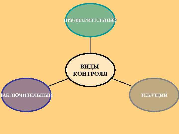 ЗАКЛЮЧИТЕЛЬНЫЙ ПРЕДВАРИТЕЛЬНЫЙ ВИДЫ КОНТРОЛЯ ТЕКУЩИЙ 