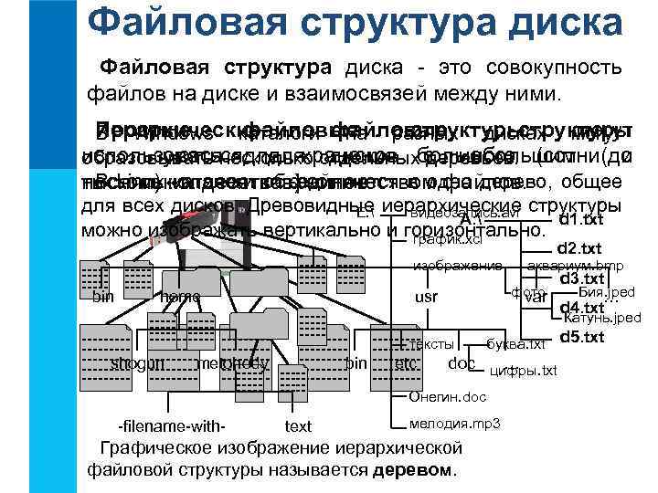 Файловая структура диска - это совокупность файлов на диске и взаимосвязей между ними. Иерархические