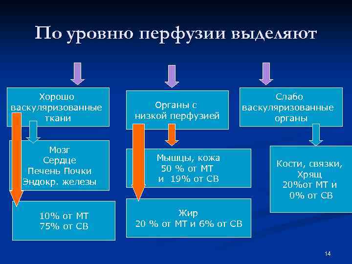 По уровню перфузии выделяют Хорошо васкуляризованные ткани Мозг Сердце Печень Почки Эндокр. железы 10%