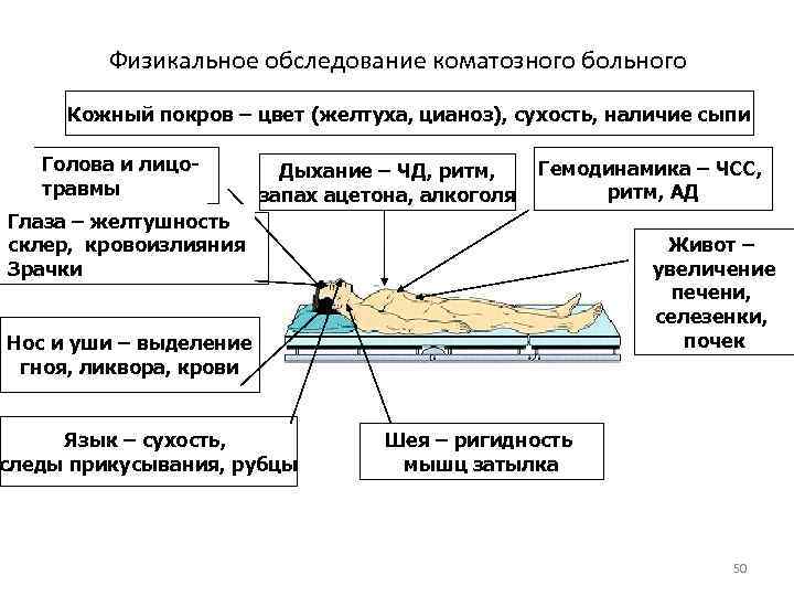 Физикальное обследование коматозного больного Кожный покров – цвет (желтуха, цианоз), сухость, наличие сыпи Голова