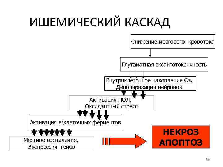 ИШЕМИЧЕСКИЙ КАСКАД Снижение мозгового кровотока Глутаматная эксайтотоксичность Внутриклеточное накопление Са, Деполяризация нейронов Активация ПОЛ,