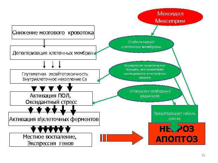 Мексидол Мексиприм Снижение мозгового кровотока Стабилизирует клеточные мембраны Деполяризация клеточных мембран Глутаматная эксайтотоксичность Внутриклеточное