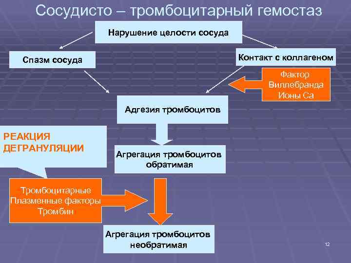 Этапы развития сосудисто тромбоцитарного гемостаза от нарушения целостности сосудистой стенки