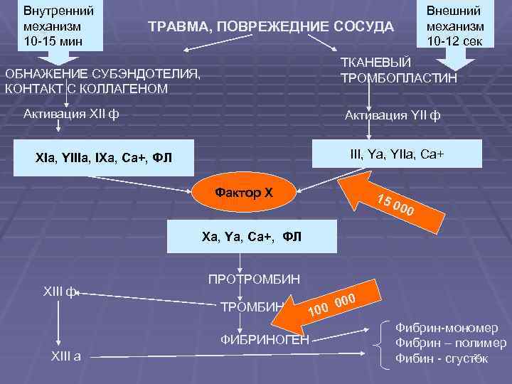 Внутренний механизм 10 -15 мин Внешний механизм 10 -12 сек ТРАВМА, ПОВРЕЖЕДНИЕ СОСУДА ТКАНЕВЫЙ