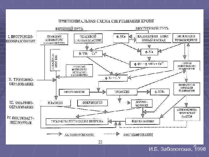 26 И. Б. Заболотских, 1998 