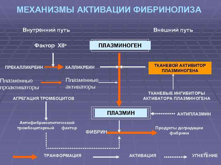 Схема фибринолиза физиология