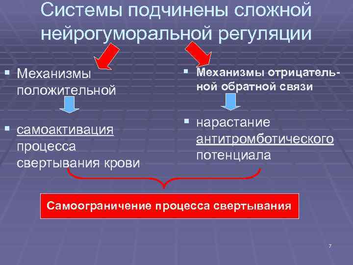 Системы подчинены сложной нейрогуморальной регуляции § Механизмы положительной § самоактивация процесса свертывания крови §