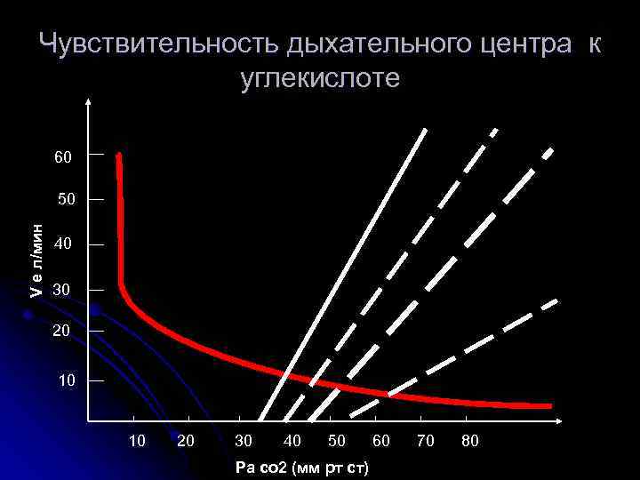 Влияние углекислого газа на дыхательный центр исследовательский проект 8 класс