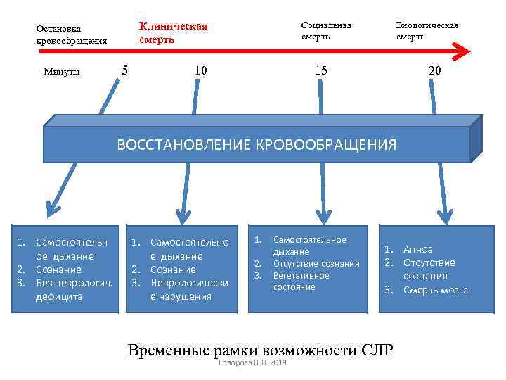 Социальная смерть Клиническая смерть Остановка кровообращения 5 Минуты 10 Биологическая смерть 15 20 ВОССТАНОВЛЕНИЕ