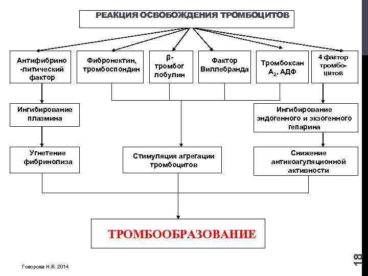 РЕАКЦИЯ ОСВОБОЖДЕНИЯ ТРОМБОЦИТОВ Антифибрино -литический фактор Фибронектин, тромбоспондин βтромбог лобулин Фактор Виллебранда Ингибирование плазмина