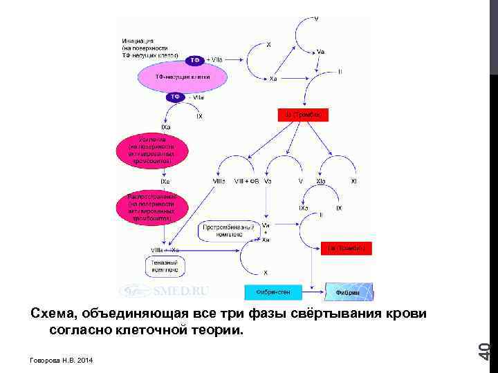 Схема объединенная это