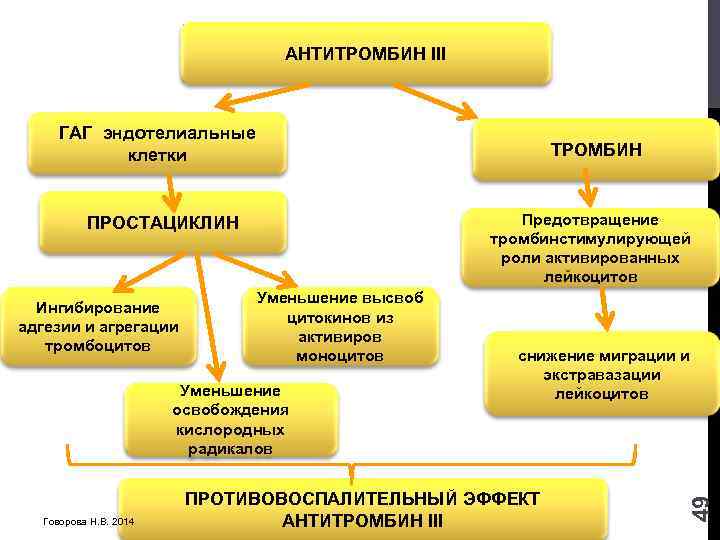 АНТИТРОМБИН III ГАГ эндотелиальные клетки Предотвращение тромбинстимулирующей роли активированных лейкоцитов Уменьшение высвоб цитокинов из