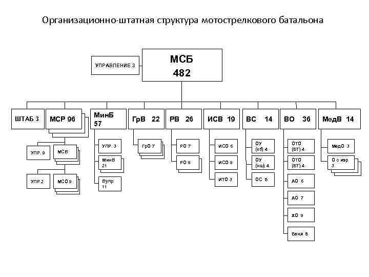 Организационно штатная структура в виде схемы