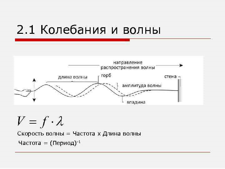 2. 1 Колебания и волны Скорость волны = Частота х Длина волны Частота =