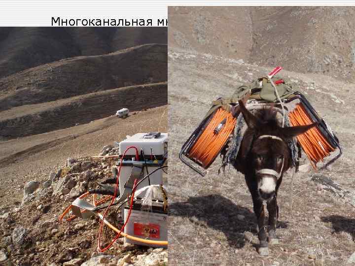 Многоканальная многоэлектродная аппаратура Sys. Cal Pro, Iris Instruments (Франция) 2 cейсмических кабеля (от 24