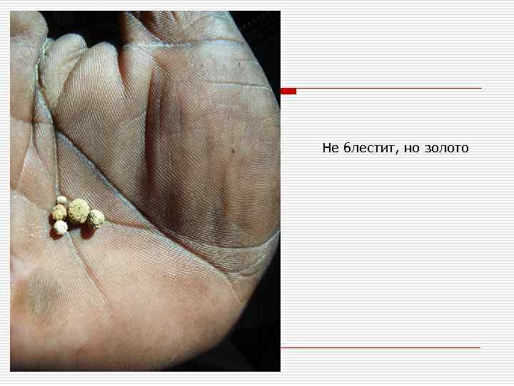 Не блестит, но золото 