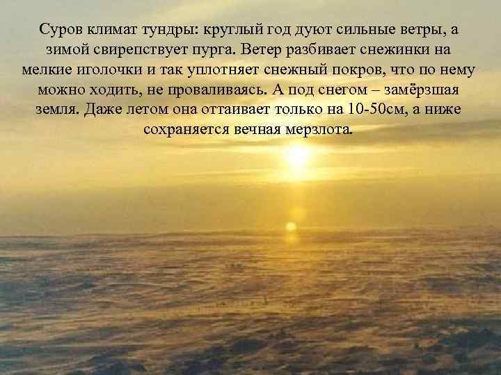 Суров климат тундры: круглый год дуют сильные ветры, а зимой свирепствует пурга. Ветер разбивает