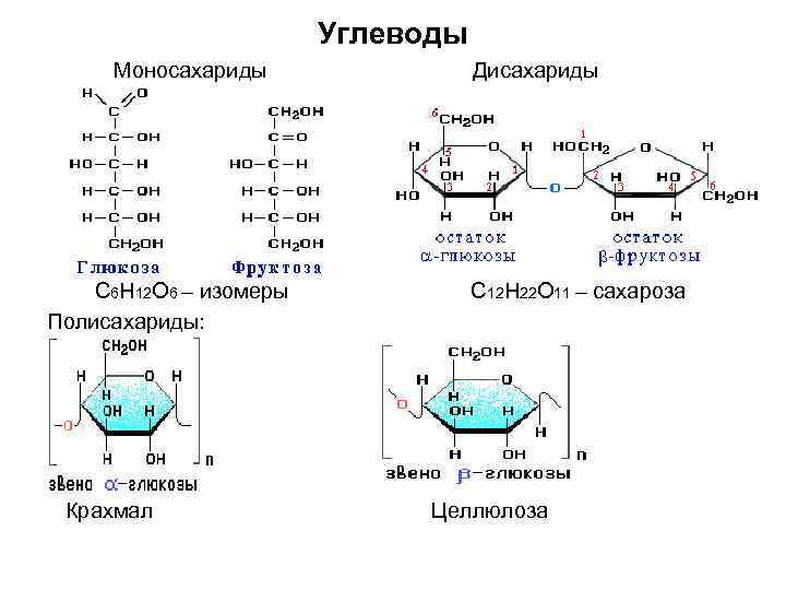 Углеводы Моносахариды С 6 Н 12 О 6 – изомеры Полисахариды: Крахмал Дисахариды С