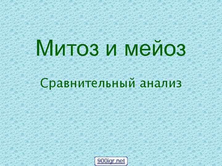 Митоз и мейоз Сравнительный анализ 900 igr. net 