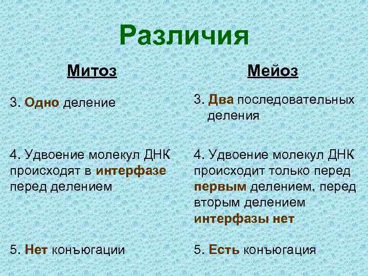 Различия Митоз Мейоз 3. Одно деление 3. Два последовательных деления 4. Удвоение молекул ДНК