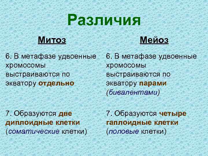 Различия Митоз Мейоз 6. В метафазе удвоенные хромосомы выстраиваются по экватору отдельно 6. В