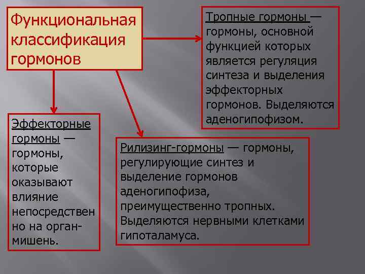 Функциональная классификация гормонов Эффекторные гормоны — гормоны, которые оказывают влияние непосредствен но на органмишень.