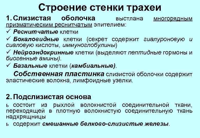 Строение стенки трахеи 1. Слизистая оболочка выстлана многорядным призматическим реснитчатым эпителием: ü Реснитчатые клетки