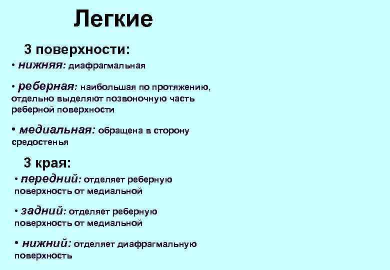 Легкие 3 поверхности: • нижняя: диафрагмальная • реберная: наибольшая по протяжению, отдельно выделяют позвоночную
