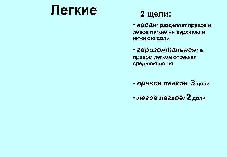 Легкие 2 щели: • косая: разделяет правое и левое легкие на верхнюю и нижнюю
