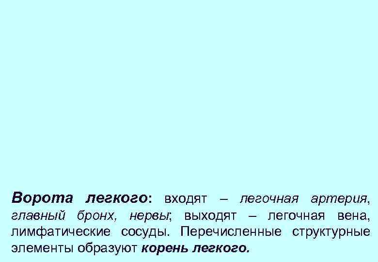 Ворота легкого: входят – легочная артерия, главный бронх, нервы; выходят – легочная вена, лимфатические