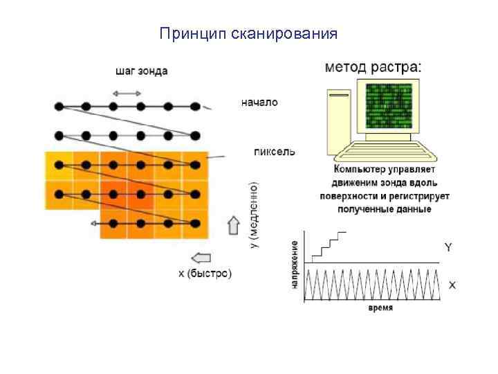 Принцип сканирования 