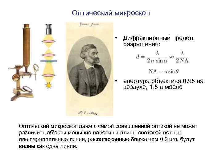 Оптический микроскоп • Дифракционный предел разрешения: • апертура объектива 0. 95 на воздухе, 1.