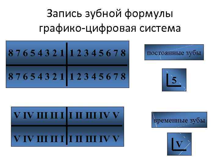 Запись зубной формулы графико-цифровая система 87654321 12345678 V IV III II III IV V