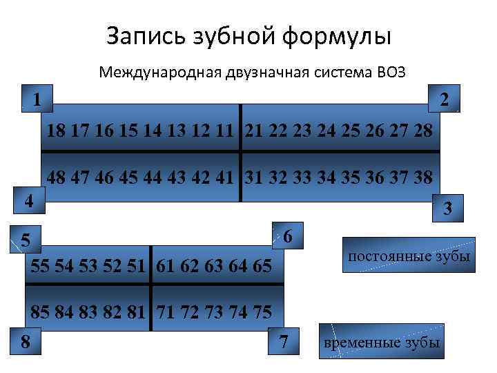 Запись зубной формулы Международная двузначная система ВОЗ 1 2 18 17 16 15 14