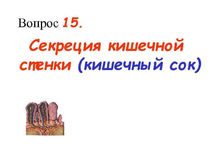 Вопрос 15. Секреция кишечной стенки (кишечный сок) 