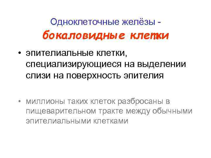 Одноклеточные желёзы - бокаловидные клетки • эпителиальные клетки, специализирующиеся на выделении слизи на поверхность