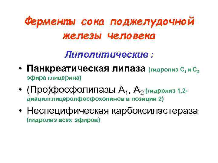 Ферменты сока поджелудочной железы человека Липолитические : • Панкреатическая липаза (гидролиз C 1 и