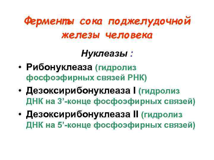 Ферменты сока поджелудочной железы человека Нуклеазы : • Рибонуклеаза (гидролиз фосфоэфирных связей РНК) •