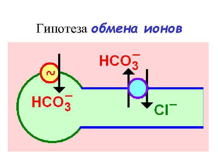 Гипотеза обмена ионов 