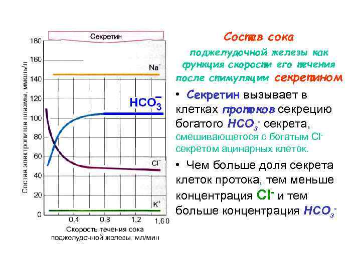 Состав сока поджелудочной железы как функция скорости его течения после стимуляции секретином • Секретин