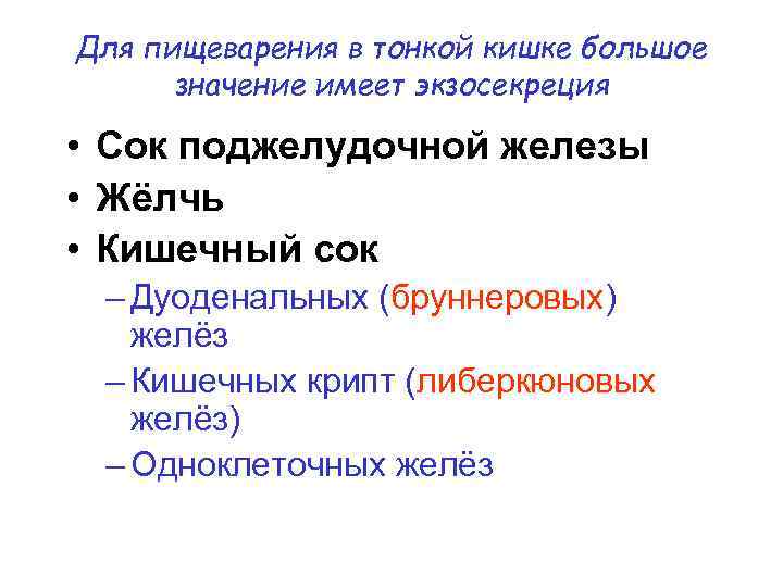 Для пищеварения в тонкой кишке большое значение имеет экзосекреция • Сок поджелудочной железы •