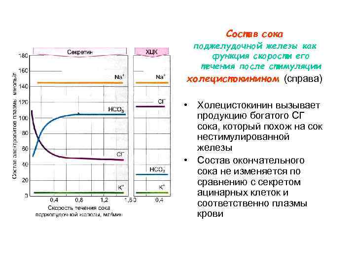 Состав сока поджелудочной железы как функция скорости его течения после стимуляции холецистокинином (справа) •