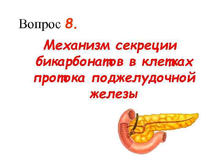 Вопрос 8. Механизм секреции бикарбонатов в клетках протока поджелудочной железы 