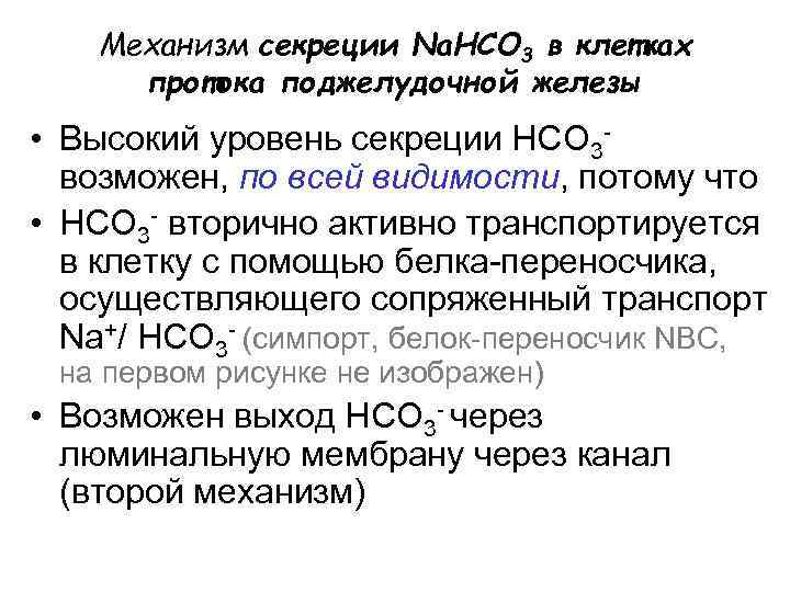 Механизм секреции Na. HCO 3 в клетках протока поджелудочной железы • Высокий уровень секреции