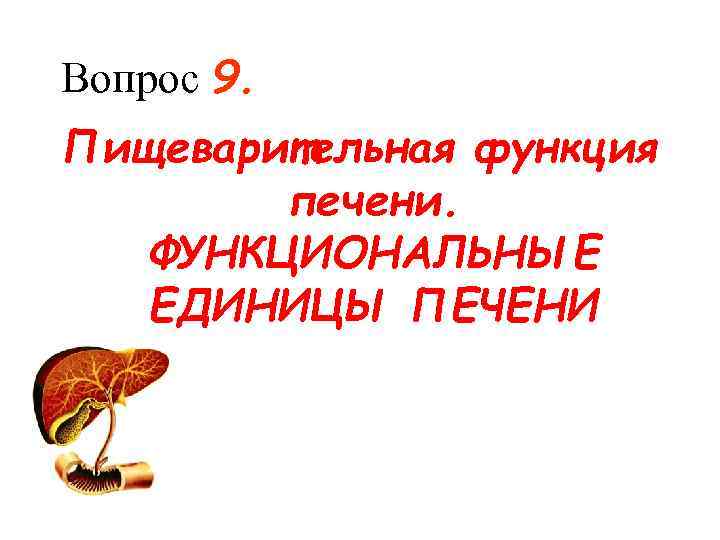 Вопрос 9. Пищеварительная функция печени. ФУНКЦИОНАЛЬНЫЕ ЕДИНИЦЫ ПЕЧЕНИ 