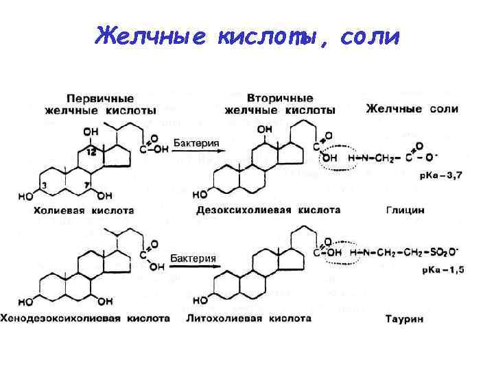 Желчные кислоты, соли 