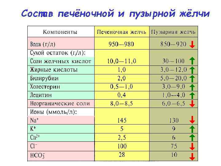 Состав печёночной и пузырной жёлчи 