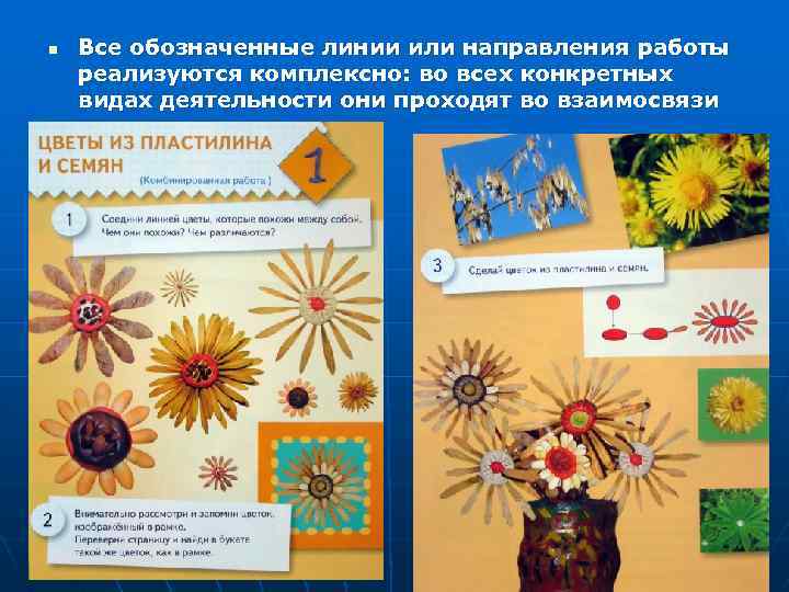 n Все обозначенные линии или направления работы реализуются комплексно: во всех конкретных видах деятельности