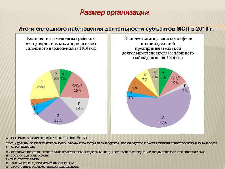 Размер организации Итоги сплошного наблюдения деятельности субъектов МСП в 2010 г. А - СЕЛЬСКОЕ
