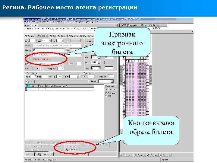Регина. Рабочее место агента регистрации Признак электронного билета Кнопка вызова образа билета 